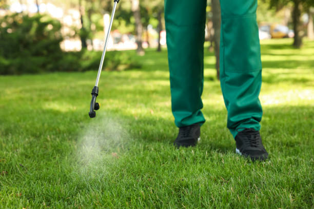 Best Wasp Removal Services  in Garrison, TX