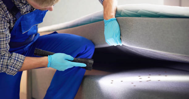 Best Rat Extermination Near Me  in Garrison, TX