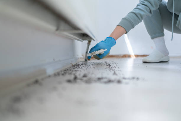 Best Flea Control Services  in Garrison, TX