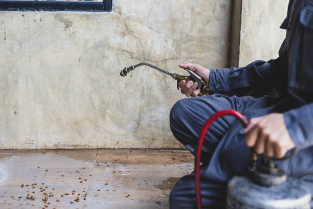 Pest Prevention Services in Garrison, TX