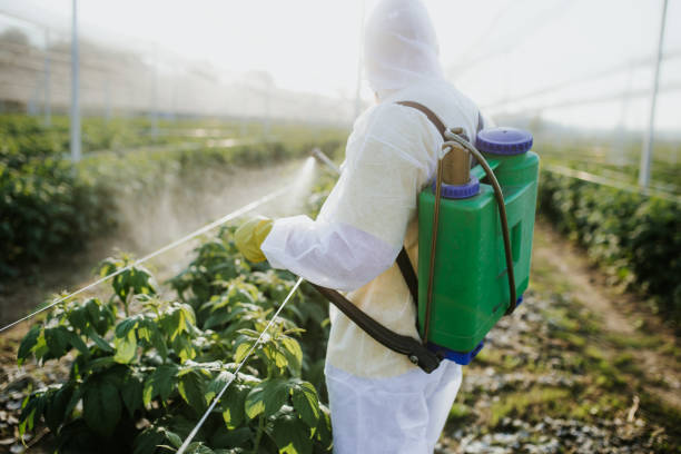 Best Termite Control Services  in Garrison, TX
